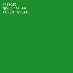 #1B902C - Forest Green Color Image